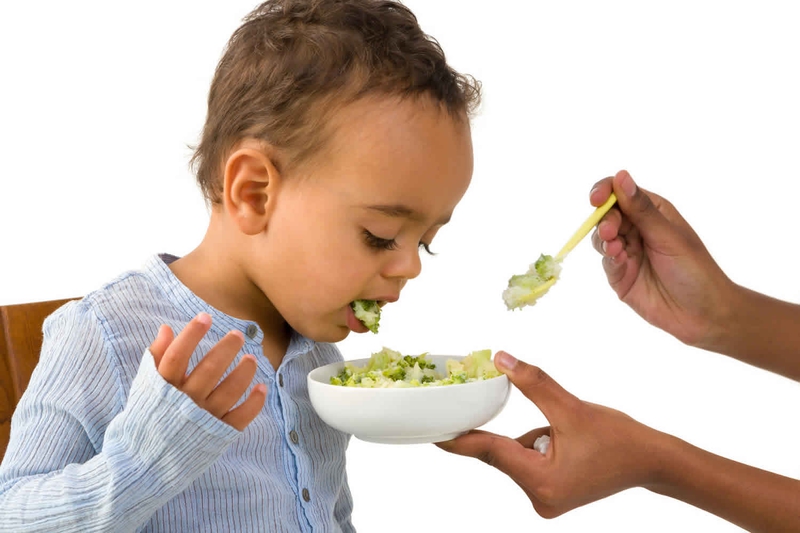 Rối loạn nhai lại là gì