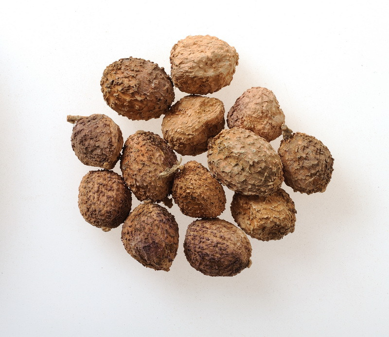 phân biệt sa nhân