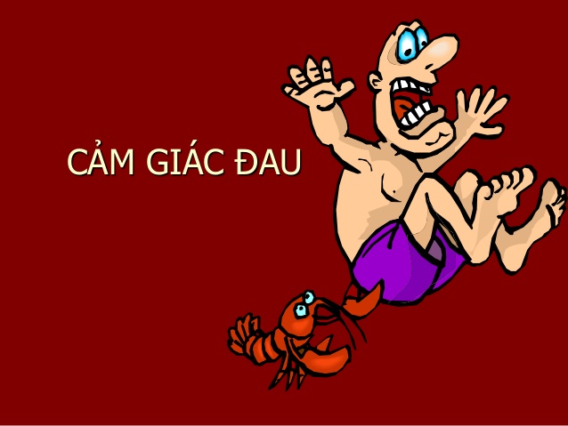 Cảm Giác Đau Bất Thường, Quá Mức (Hyperpathia): Triệu Chứng, Nguyên Nhân và Cách Điều Trị 8 phân biệt hyperpathia và allodynia