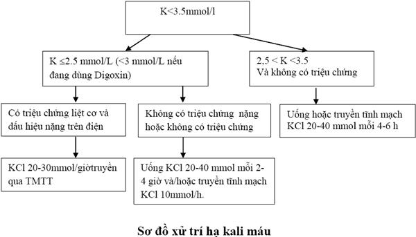 Sơ đồ xử trí hạ kali máu