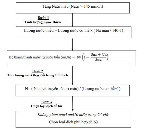 Sơ đồ xử trí tăng natri máu