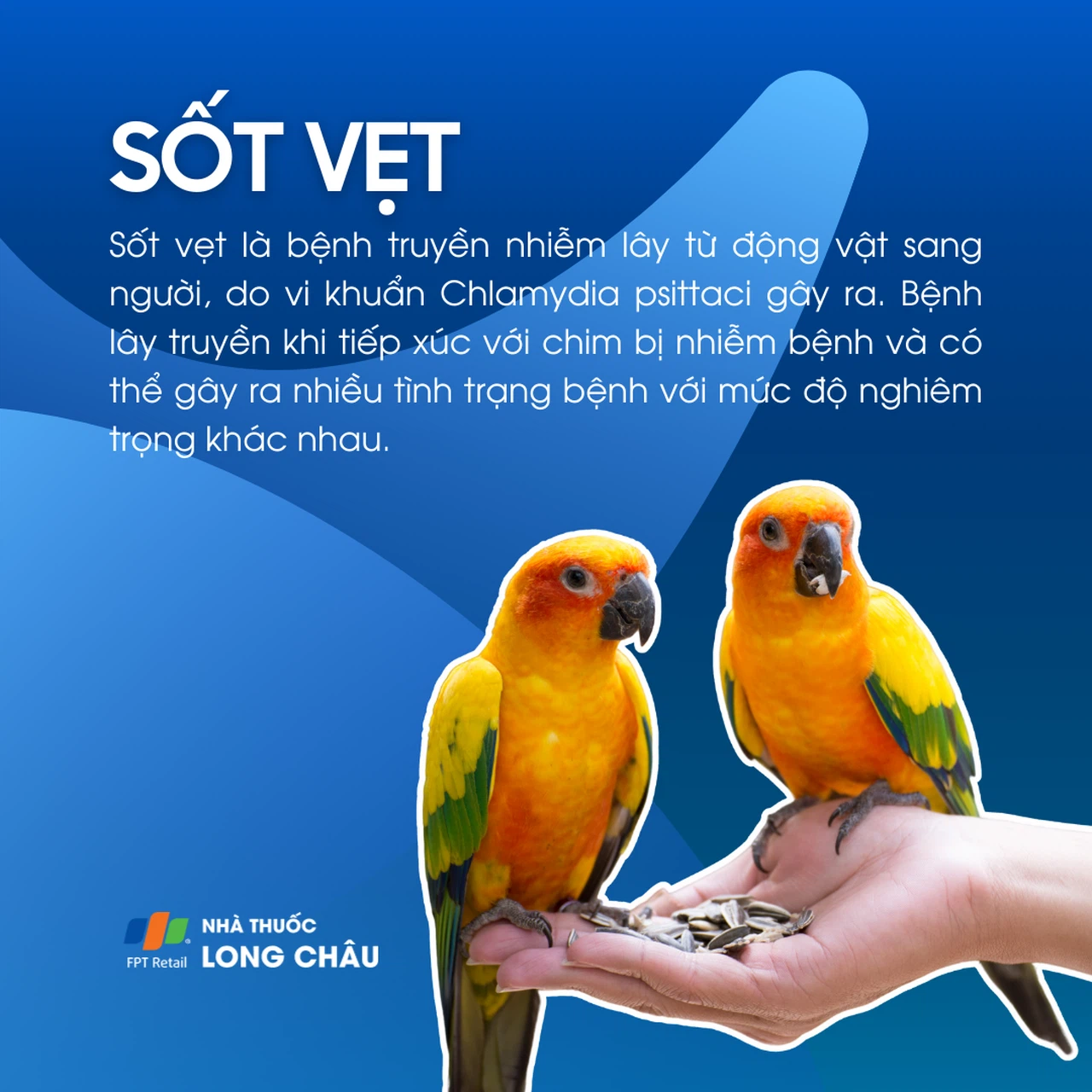 Triệu chứng sốt vẹt