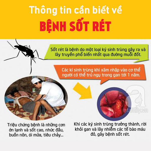 Muỗi Anopheles truyền bệnh sốt rét