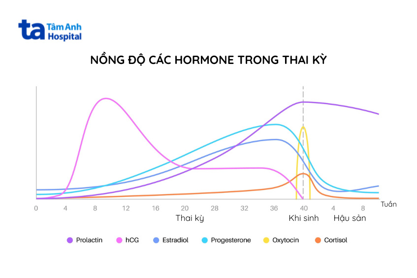 Sự thay đổi hormone trong thai kỳ