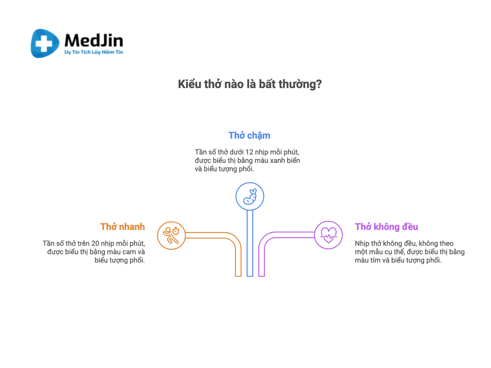 Thở Kiểu Biot Là Gì? Dấu Hiệu Nguy Hiểm Của Rối Loạn Nhịp Thở 7 Biểu đồ minh họa thở kiểu Biot