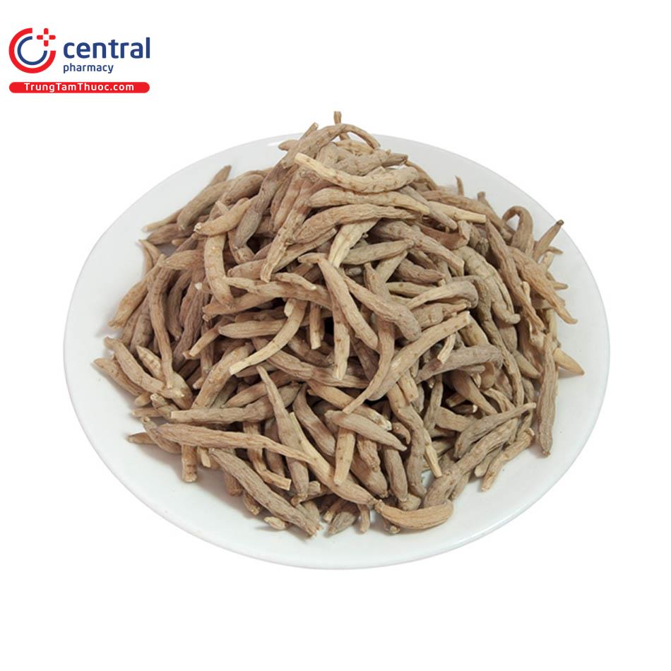 Củ Thái Tử Sâm nguyên bản