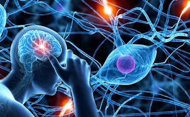 Thần kinh ngoại biên bị tổn thương ở người đái tháo đường