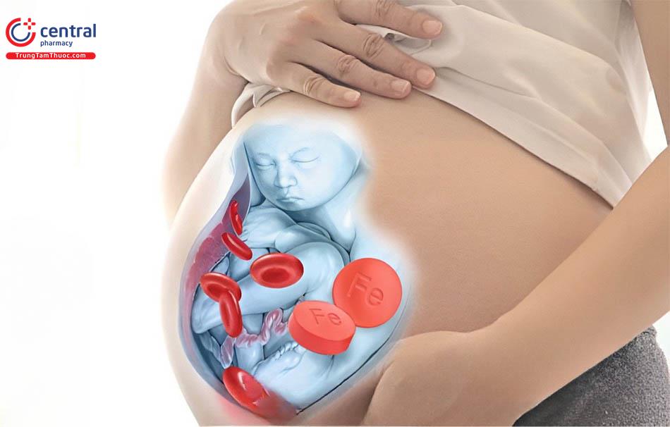 Hồng cầu thiếu máu