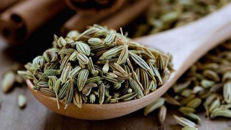 Tiểu hồi và hoa tiểu hồi