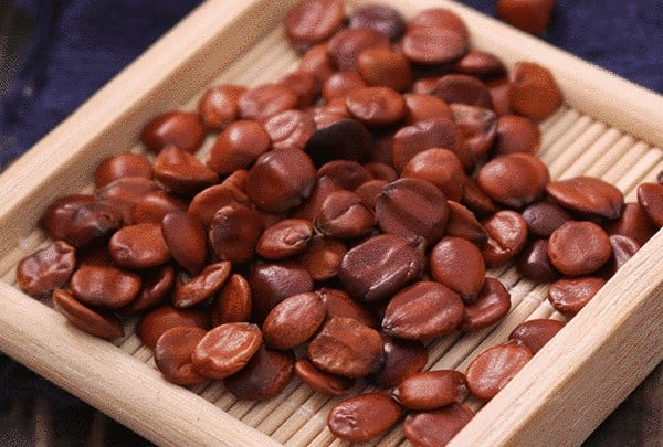 Công dụng trị mất ngủ của Toan Táo Nhân