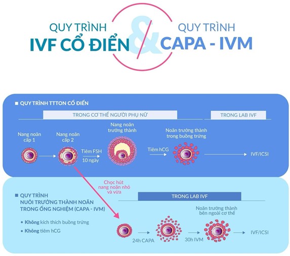 Quy trình IVM - trưởng thành noãn non trong ống nghiệm