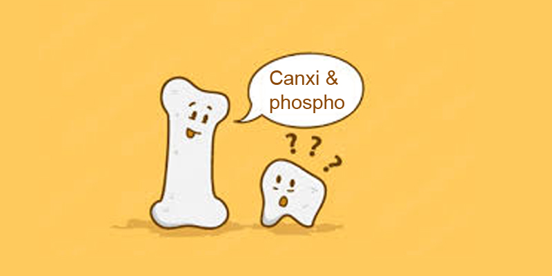 Tỷ lệ Ca/P trong cơ thể