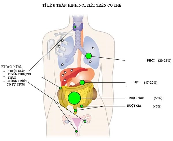 Tế bào thần kinh nội tiết