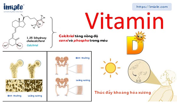 Vai trò của Vitamin D với sức khỏe