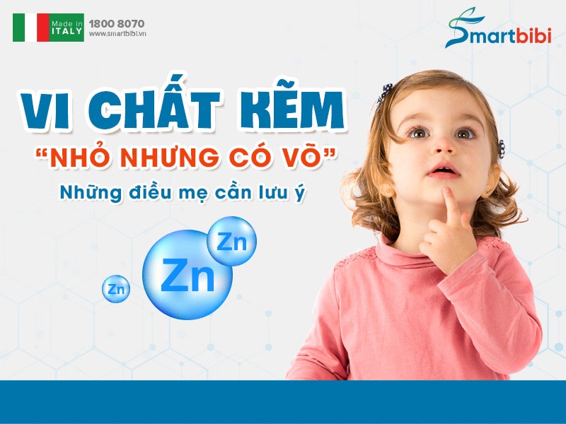 Kẽm (Zinc): Vi Chất 'Nhỏ Mà Có Võ' Cho Sức Khỏe Toàn Diện 8 Thực phẩm tự nhiên giàu kẽm