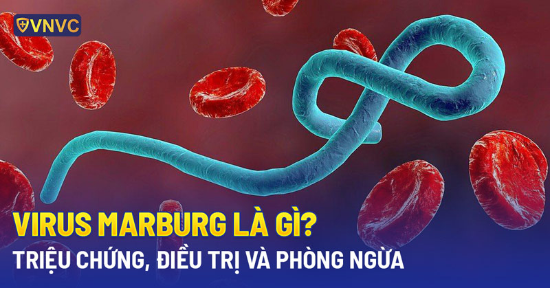 virus-marburg