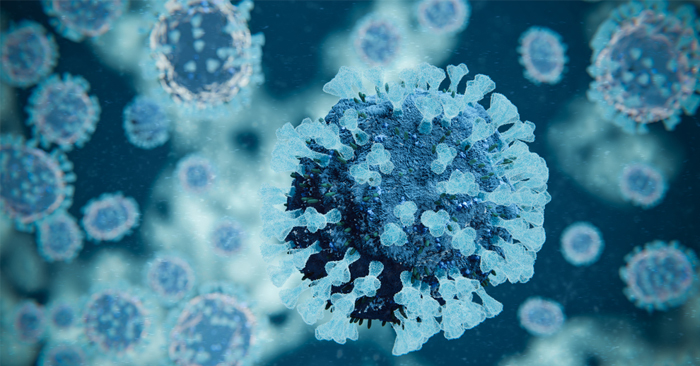 virus parainfluenza