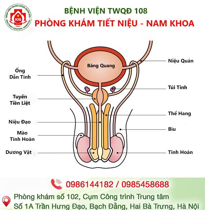 Nguyên nhân rối loạn cương dương