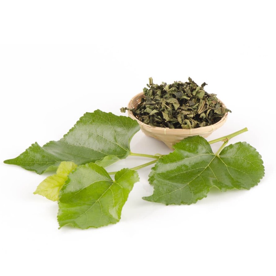 Cây dâu tằm và lá thuốc Tang Diệp