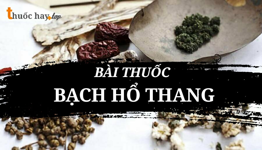 Bài thuốc Bạch Hổ Thang