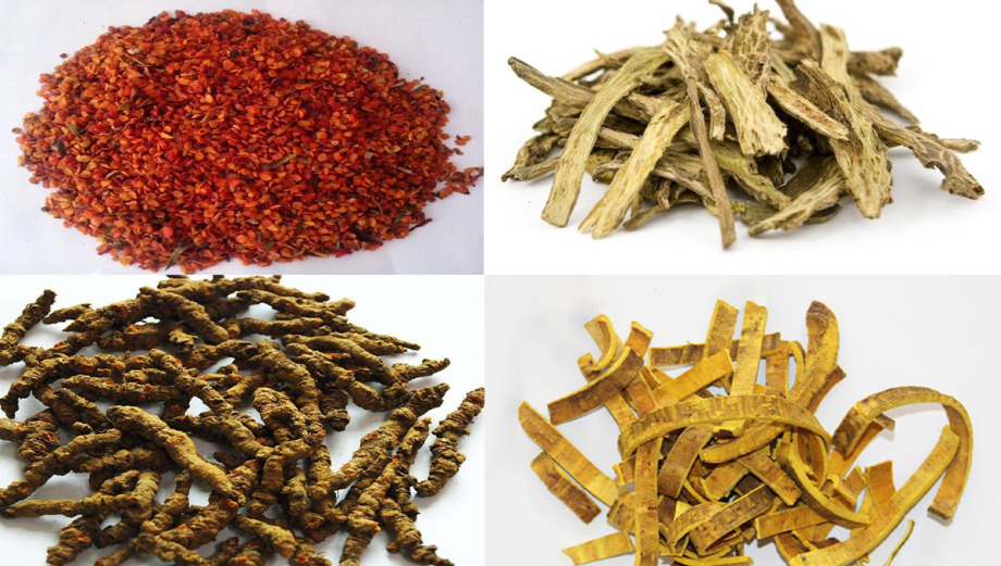 Thành phần dược liệu Hoàng Liên Giải Độc Thang