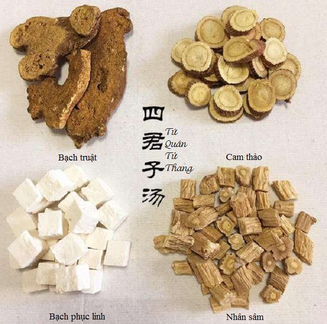 Thành phần bài thuốc Tứ Quân Tử Thang