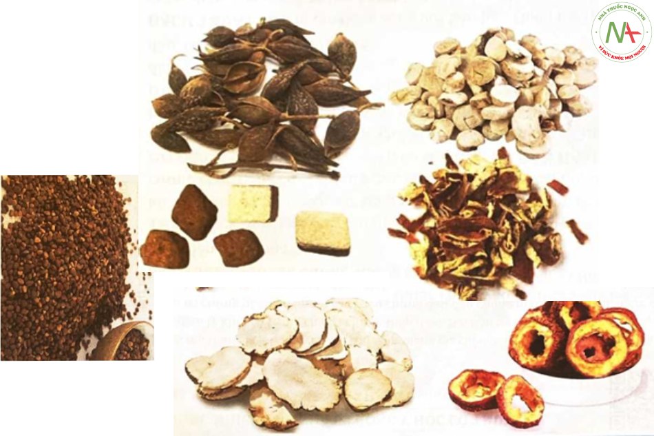 Bảo Hòa Hoàn dạng viên hoàn