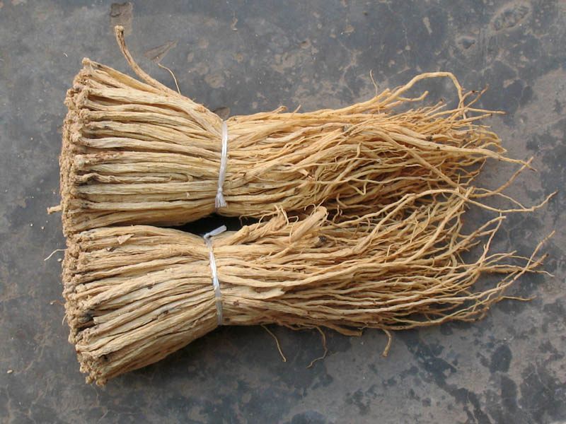 Đảng sâm tươi