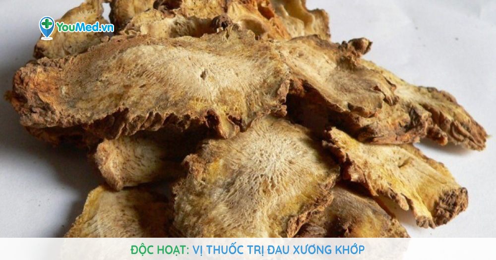 Độc hoạt trị đau nhức khớp