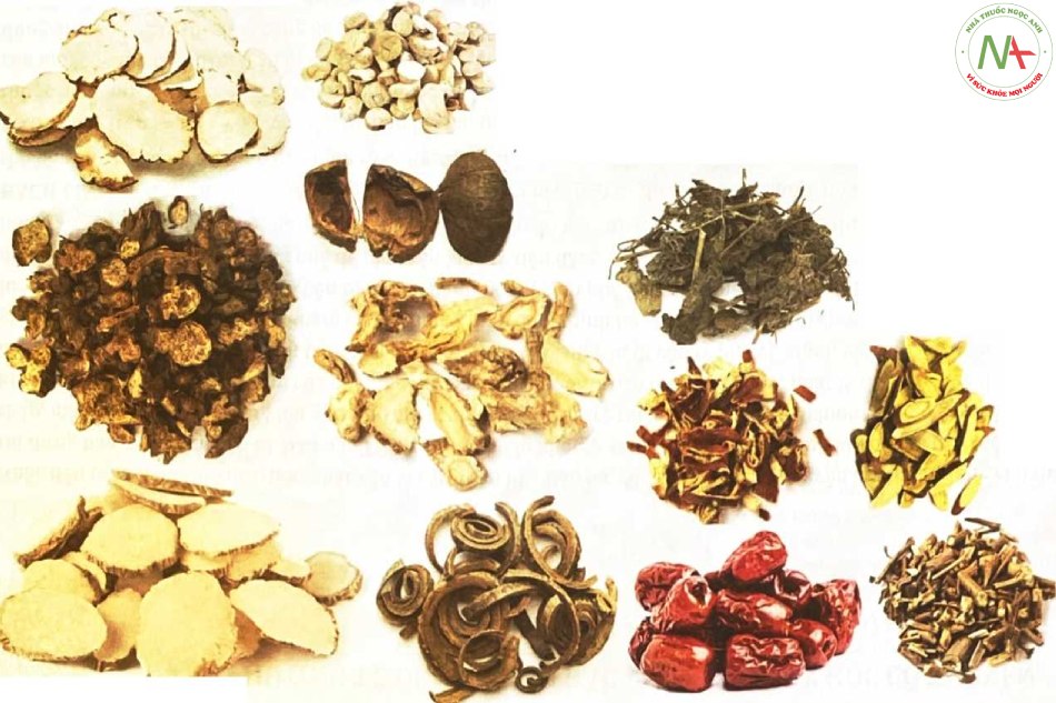 Hoắc Hương Chính Khí Tán