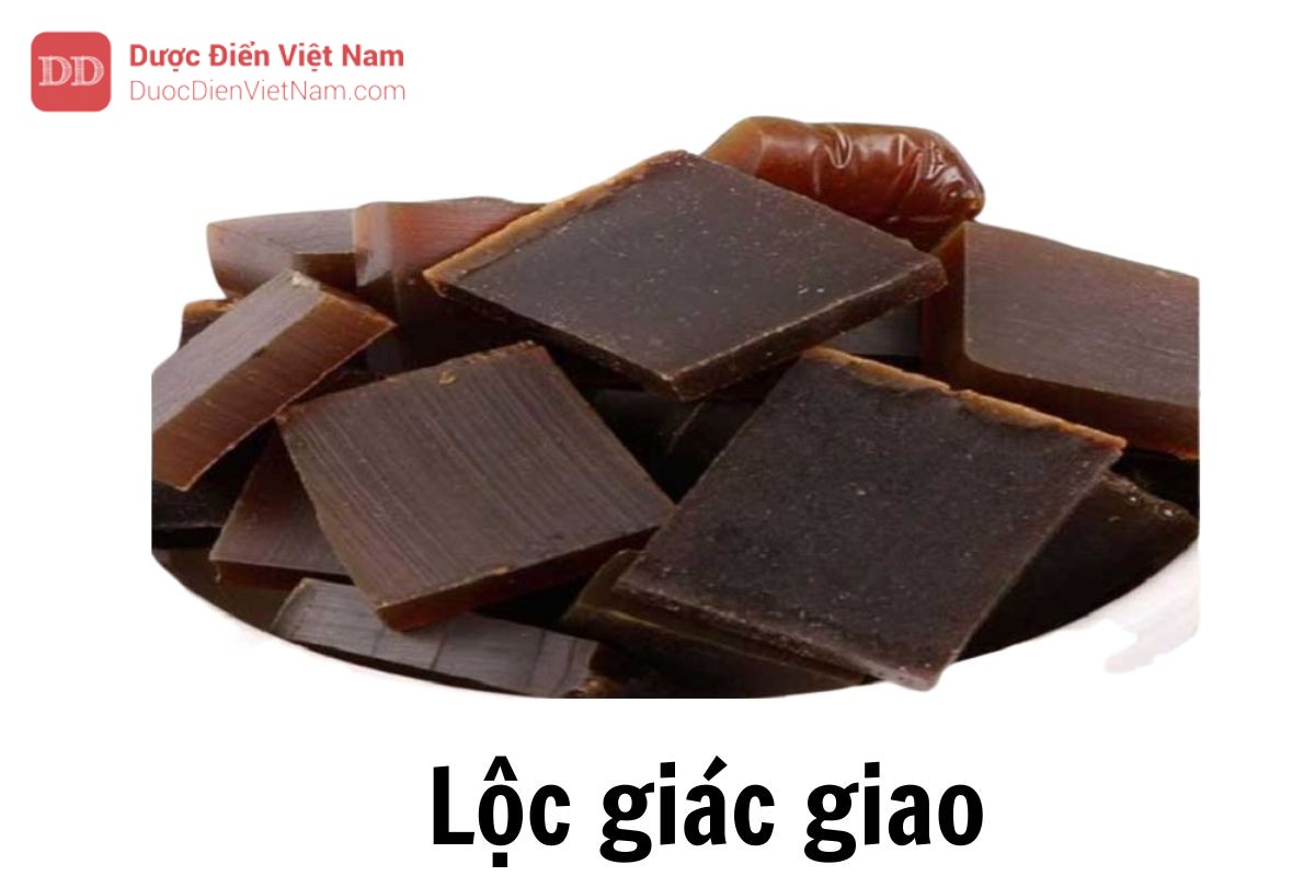 Đặc điểm lá và hoa của Lộc Giác Giao