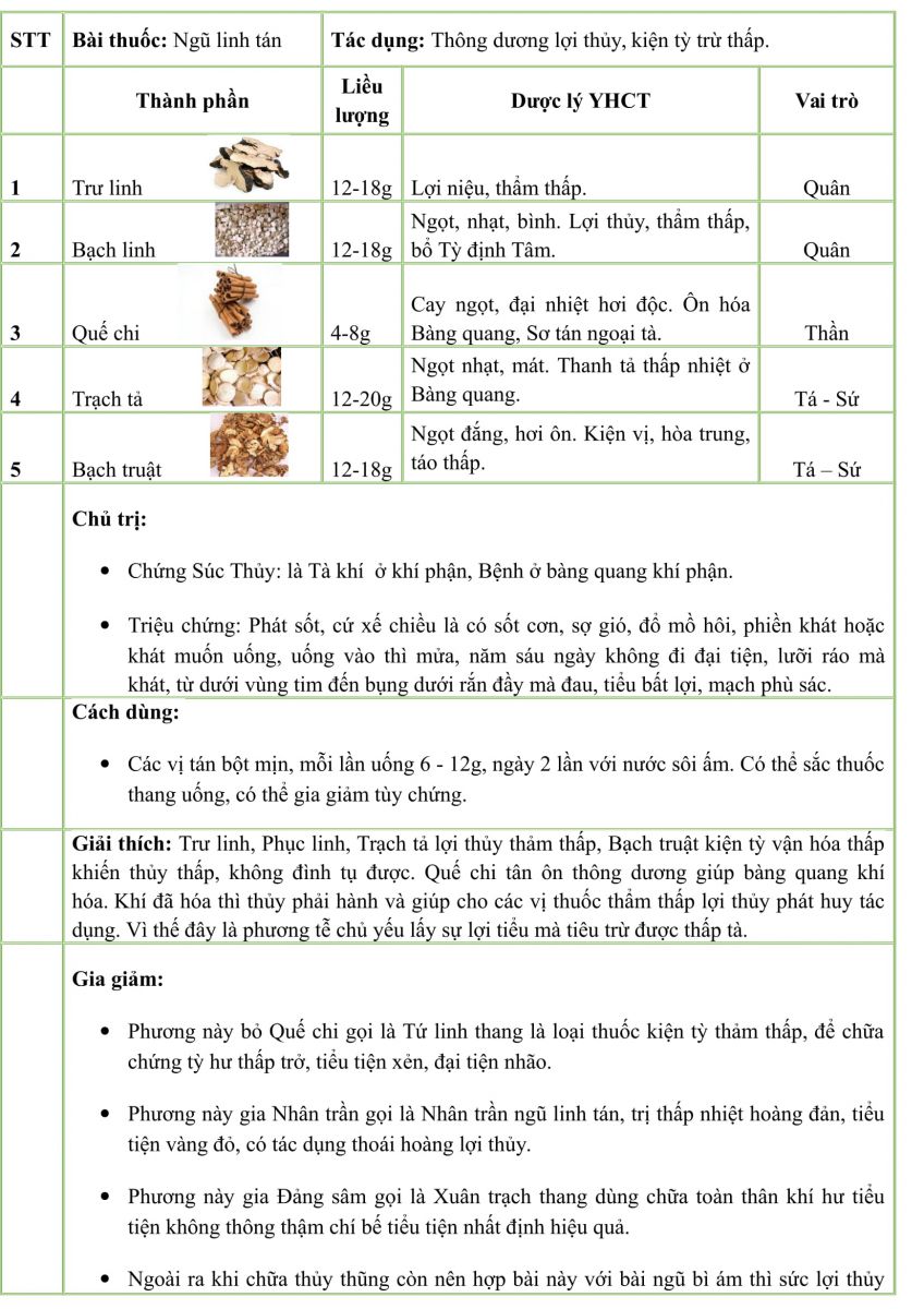 Thành phần bài thuốc Ngũ Linh Tán