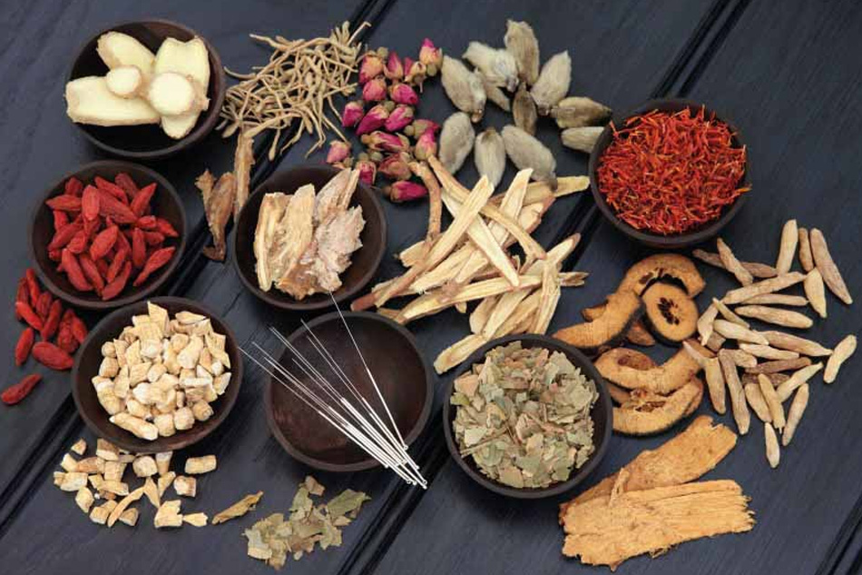 Tứ Nghịch Tán bài thuốc cổ truyền