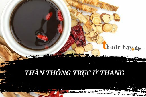 Các vị thuốc trong Thân Thống Trục Ứ Thang