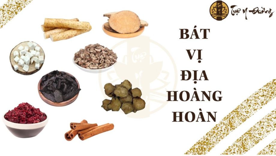 Thành phần Quế Phụ Địa Hoàng Hoàn