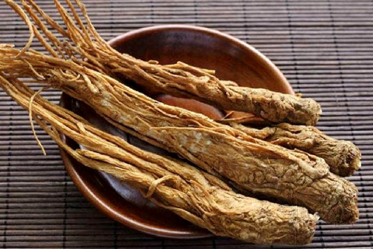 vị thuốc Đương quy