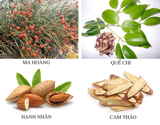 Bài thuốc Ma Hoàng Thang chữa hen suyễn