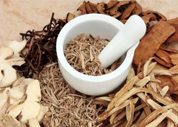 Thành phần Ngũ Bì Ẩm