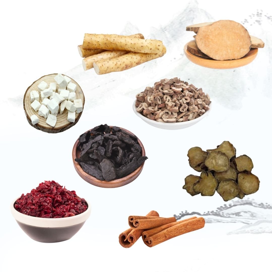 Quế Phụ Địa Hoàng Hoàn
