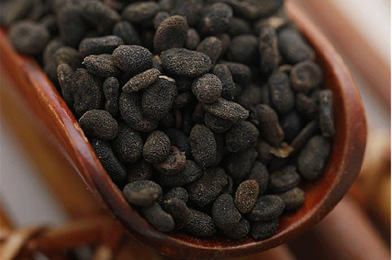 Vị thuốc bổ cốt chỉ khô