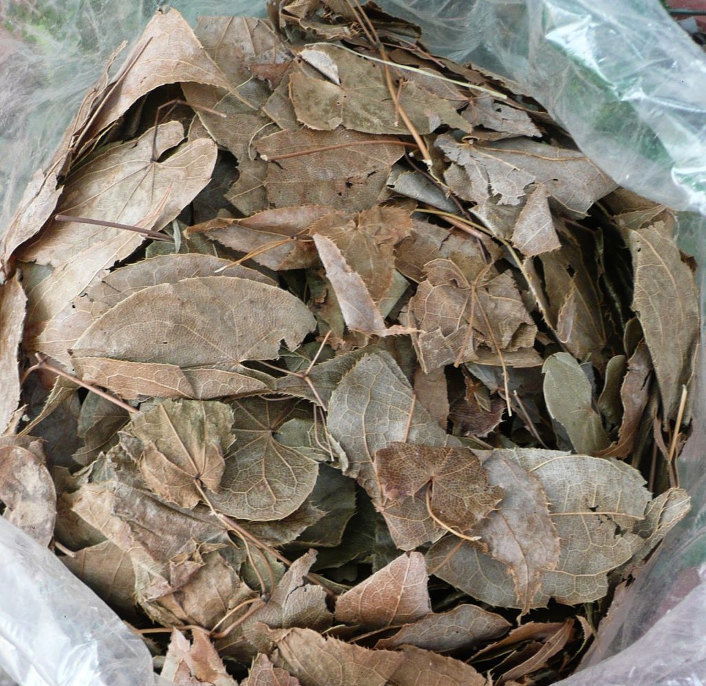 Dâm Dương Hoắc khô