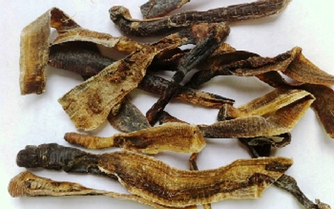 Địa long khô