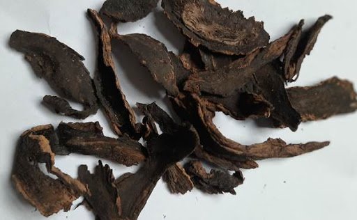 Cây huyền sâm