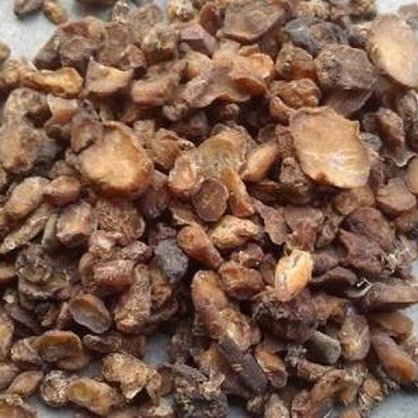 Bán Hạ – Vị Thuốc Trị Ho, Tiêu Đàm Hiệu Quả Trong Đông Y 2 image 17