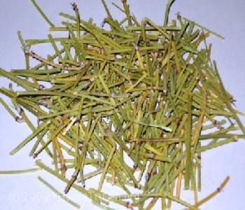 Rễ Ma Hoàng Căn phơi khô làm thuốc