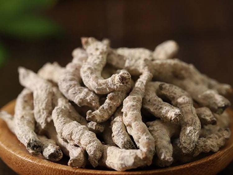 Bạch cương tàm là gì?