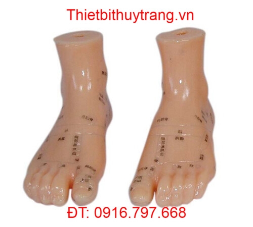 Túc Châm – Huyệt bàn chân