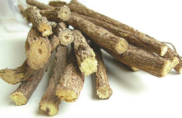 Vị thuốc Mộc Thông khô
