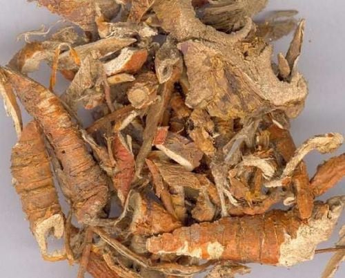 Tang Bạch Bì - Vỏ rễ dâu tằm