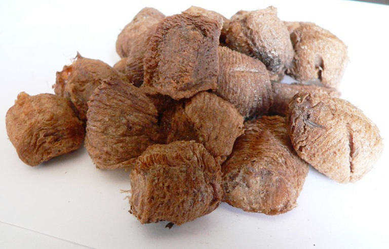 công dụng của tàng phiêu tiêu